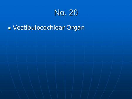 No. 20 Vestibulocochlear Organ Vestibulocochlear Organ.