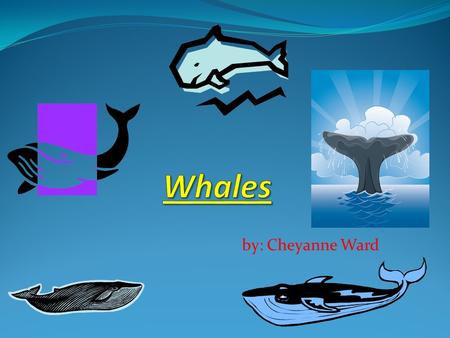 Whales by: Cheyanne Ward.