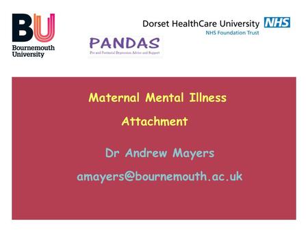 Maternal Mental Illness Attachment Dr Andrew Mayers