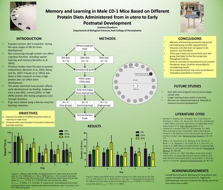 Memory and Learning in Male CD-1 Mice Based on Different Protein Diets Administered from in utero to Early Postnatal Development Jasmine Chambers Department.