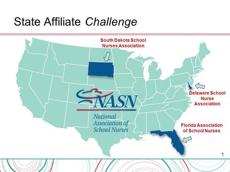 State Affiliate Challenge 1 South Dakota School Nurses Association Florida Association of School Nurses Delaware School Nurse Association.