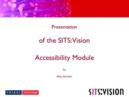Presentation of the SITS:Vision Accessibility Module by Alex Johnson.
