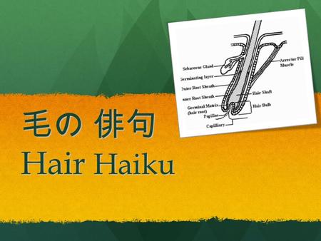 毛の 俳句 Hair Haiku. What is a Haiku? The essence of haiku is cutting ( kiru ). This is often represented by the juxtaposition of two images or ideas and.