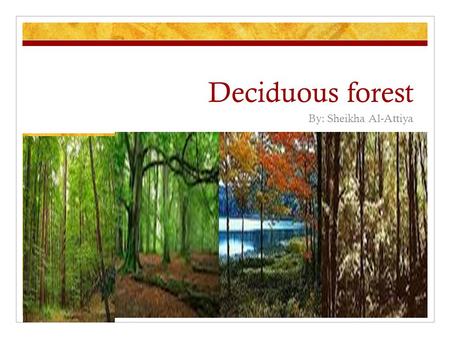 Deciduous forest By: Sheikha Al-Attiya. Definition of Deciduous The word Deciduous means falling off or out at a certain season”. Deciduous forest.