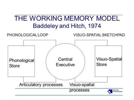 THE WORKING MEMORY MODEL Baddeley and Hitch, 1974 Central Executive Phonological Store Visuo-Spatial Store Articulatory processesVisuo-spatial processes.