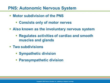 Copyright © 2009 Pearson Education, Inc., publishing as Benjamin Cummings PNS: Autonomic Nervous System  Motor subdivision of the PNS  Consists only.