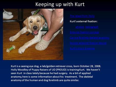 Keeping up with Kurt The latest from Holly Kurt’s external fixation: photosphotos radiographradiograph External fixation concept Canine forelimb skeletal.