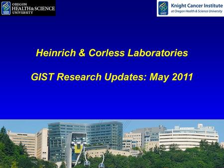 Heinrich & Corless Laboratories GIST Research Updates: May 2011.