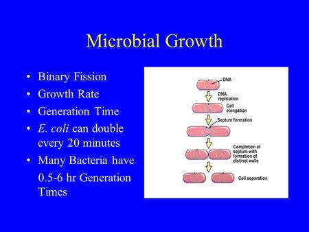 Microbial Growth Binary Fission Growth Rate Generation Time E. coli can double every 20 minutes Many Bacteria have 0.5-6 hr Generation Times.