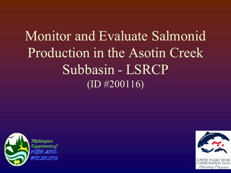 Monitor and Evaluate Salmonid Production in the Asotin Creek Subbasin - LSRCP (ID #200116)