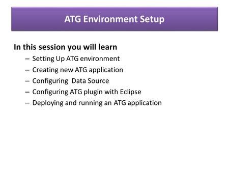 ATG Environment Setup In this session you will learn – Setting Up ATG environment – Creating new ATG application – Configuring Data Source – Configuring.