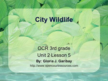City Wildlife OCR 3rd grade Unit 2 Lesson 5 By: Gloria J. Garibay