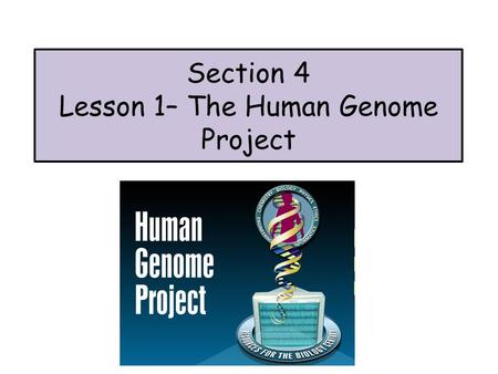 Section 4 Lesson 1– The Human Genome Project. Applications of DNA Technology Advances in gene manipulation have made many things possible. This section.