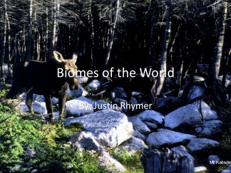 Biomes of the World By: Justin Rhymer Tundra Average Precipitation Temp. Range Plant Species Animal Species Location(s)Abiotic factors Special Features.