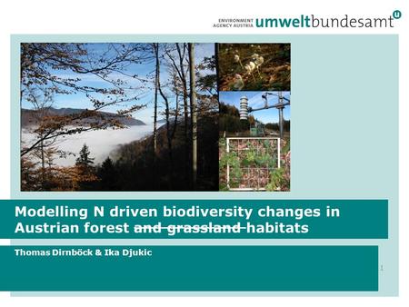 Modelling N driven biodiversity changes in Austrian forest and grassland habitats Thomas Dirnböck & Ika Djukic 1.