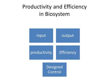 Productivity and Efficiency in Biosystem inputoutput productivityEfficiency Designed Control.