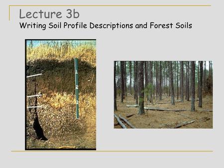Lecture 3b Writing Soil Profile Descriptions and Forest Soils.