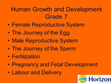 Human Growth and Development Grade 7 Female Reproductive System The Journey of the Egg Male Reproductive System The Journey of the Sperm Fertilization.