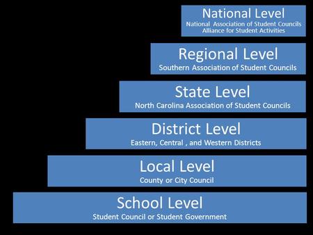 Local Level County or City Council School Level Student Council or Student Government District Level Eastern, Central, and Western Districts State Level.