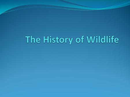 The History of Wildlife