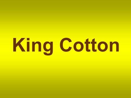 King Cotton. Cotton is a soft fibre that grows around the seeds of the cotton plant.