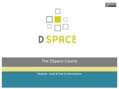 The DSpace Course Module - Look & Feel Customisation.