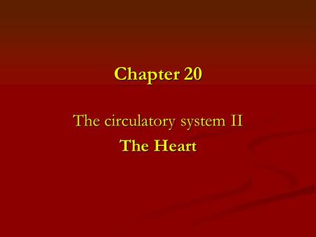 The circulatory system II The Heart