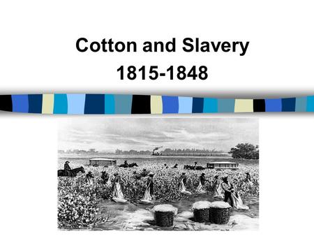 Cotton and Slavery 1815-1848. The Cotton Gin The invention of cotton gin in 1793 made short-staple cotton profitable. Thereafter, cotton and slavery began.