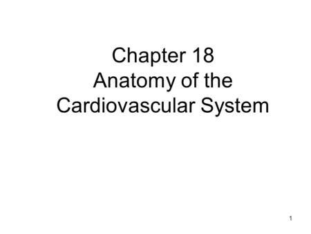 1 Chapter 18 Anatomy of the Cardiovascular System.