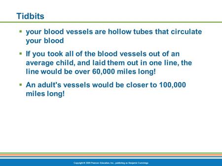 Copyright © 2009 Pearson Education, Inc., publishing as Benjamin Cummings Tidbits  your blood vessels are hollow tubes that circulate your blood  If.