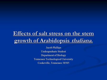 Effects of salt stress on the stem growth of Arabidopsis thaliana. Jacob Phillips Undergraduate Student Department of Biology Tennessee Technological University.