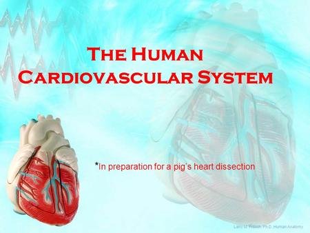 The Human Cardiovascular System * In preparation for a pig’s heart dissection Larry M. Frolich, Ph.D.,Human Anatomy.