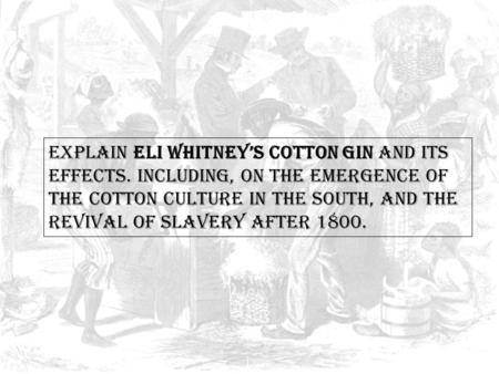 Explain Eli Whitney’s cotton gin and its effects. Including, on the emergence of the cotton culture in the South, and the revival of slavery after 1800.