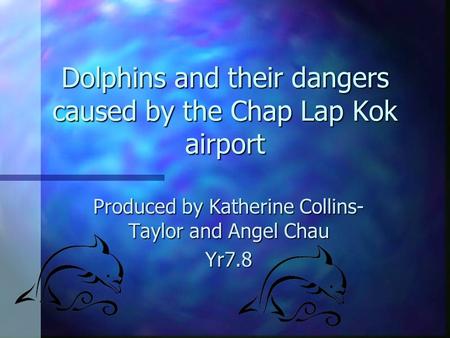 Dolphins and their dangers caused by the Chap Lap Kok airport Produced by Katherine Collins- Taylor and Angel Chau Yr7.8.