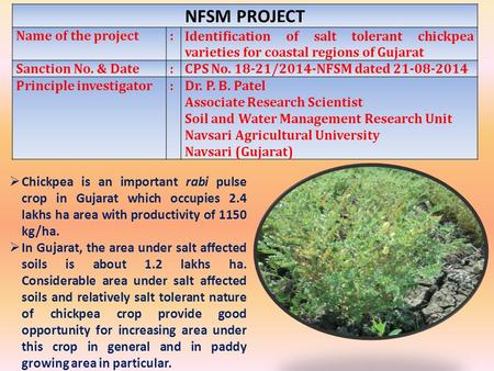 NFSM PROJECT Name of the project:Identification of salt tolerant chickpea varieties for coastal regions of Gujarat Sanction No. & Date:CPS No. 18-21/2014-NFSM.