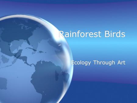 Rainforest Birds Ecology Through Art. Rainforest Birds There are hundreds of different types of birds in the rain forest. Parrots, Macaws, Hornbills and.