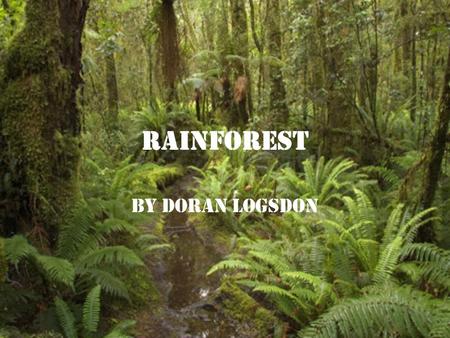 Rainforest By Doran Logsdon. Rainforests Rainforests are very dense,warm, wet forests that are havens for millions of plants and animals.The plants in.