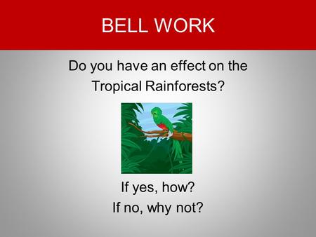BELL WORK Do you have an effect on the Tropical Rainforests? If yes, how? If no, why not?