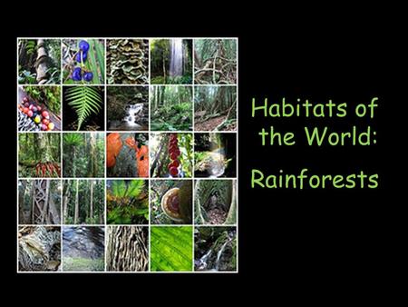 Habitats of the World: Rainforests. What is a Rainforest? Tropical rainforests are forests with tall trees, warm climate, and lots of rain. In some rainforests.