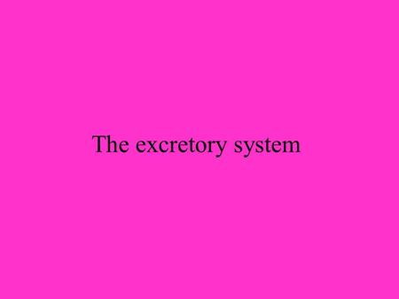 The excretory system. By the end of today’s class you should be able to:  State the function, location, products of the skin and lungs as organs of excretion.