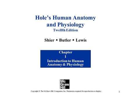1 Hole’s Human Anatomy and Physiology Twelfth Edition Shier  Butler  Lewis Chapter 1 Introduction to Human Anatomy & Physiology Copyright © The McGraw-Hill.