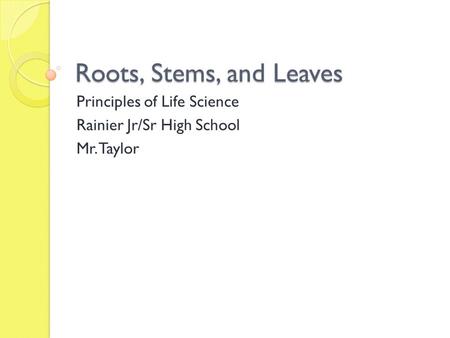 Roots, Stems, and Leaves Principles of Life Science Rainier Jr/Sr High School Mr. Taylor.