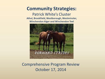 Community Strategies: Patrick White’s Cluster Athol, Brookfield, Westborough, Westminster, Winchendon Alger and Winchendon Teel Comprehensive Program Review.