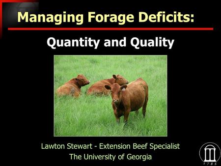 Quantity and Quality Lawton Stewart - Extension Beef Specialist The University of Georgia Lawton Stewart - Extension Beef Specialist The University of.
