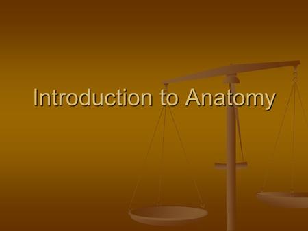 Introduction to Anatomy. Understanding Anatomy It’s the foundation of many health care professions It’s the foundation of many health care professions.