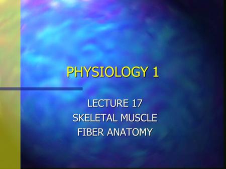 PHYSIOLOGY 1 LECTURE 17 SKELETAL MUSCLE FIBER ANATOMY.