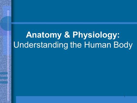 1 Anatomy & Physiology: Understanding the Human Body.