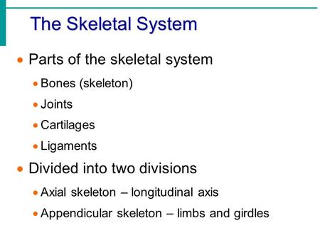 The Skeletal System  Parts of the skeletal system  Bones (skeleton)  Joints  Cartilages  Ligaments  Divided into two divisions  Axial skeleton –