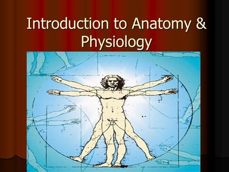 Introduction to Anatomy & Physiology. ANATOMY THE STUDY OF THE FORM & STRUCTURE OF THE HUMAN BODY THE STUDY OF THE FORM & STRUCTURE OF THE HUMAN BODY.