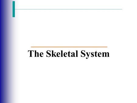 The Skeletal System. Slide 5.1 Copyright © 2003 Pearson Education, Inc. publishing as Benjamin Cummings  Parts of the skeletal system  Bones (skeleton)